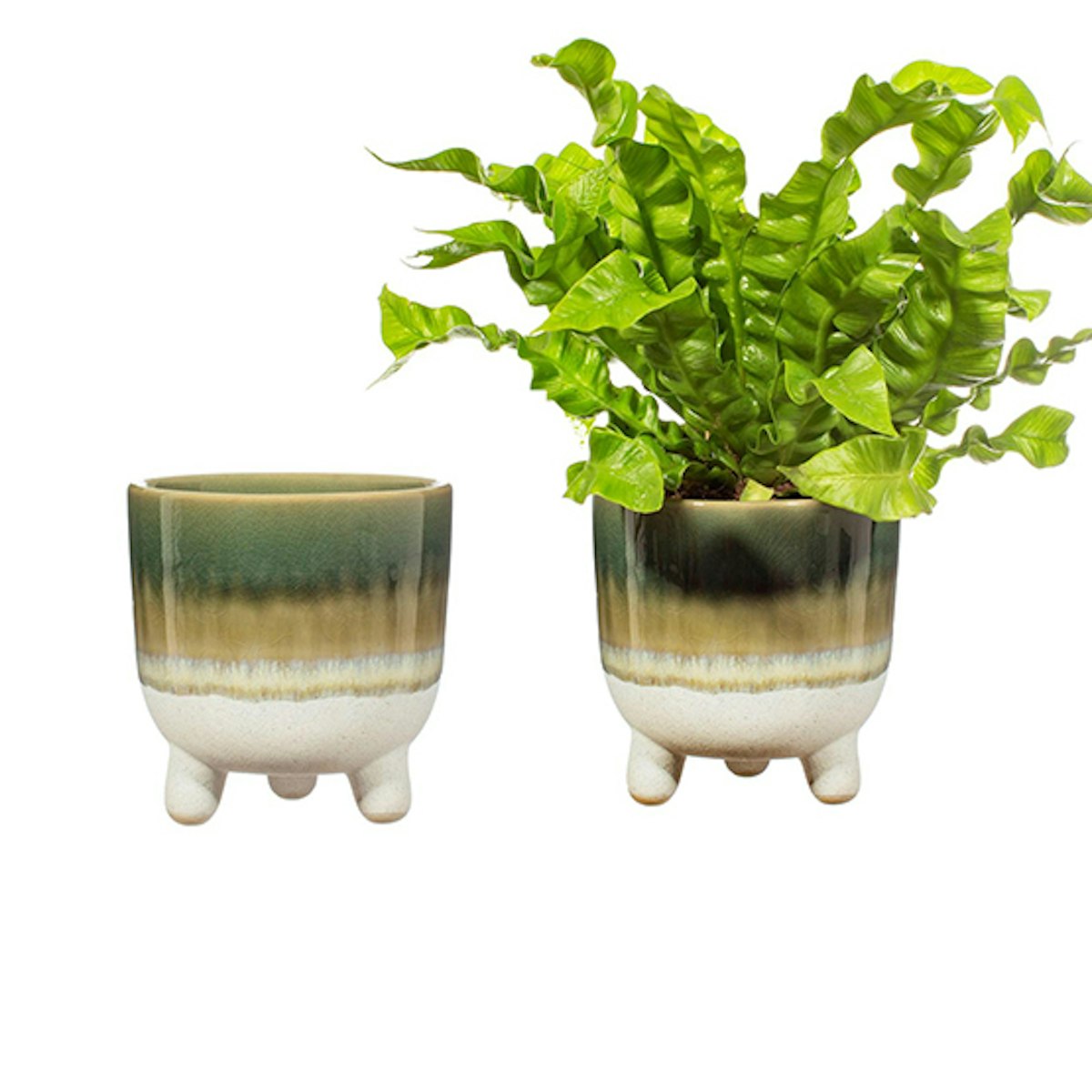 The best Morrisons plants and homeware to transform your space